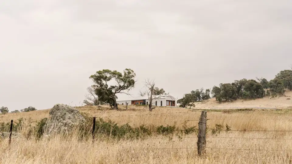 Photo courtesy of Marnie Hawson