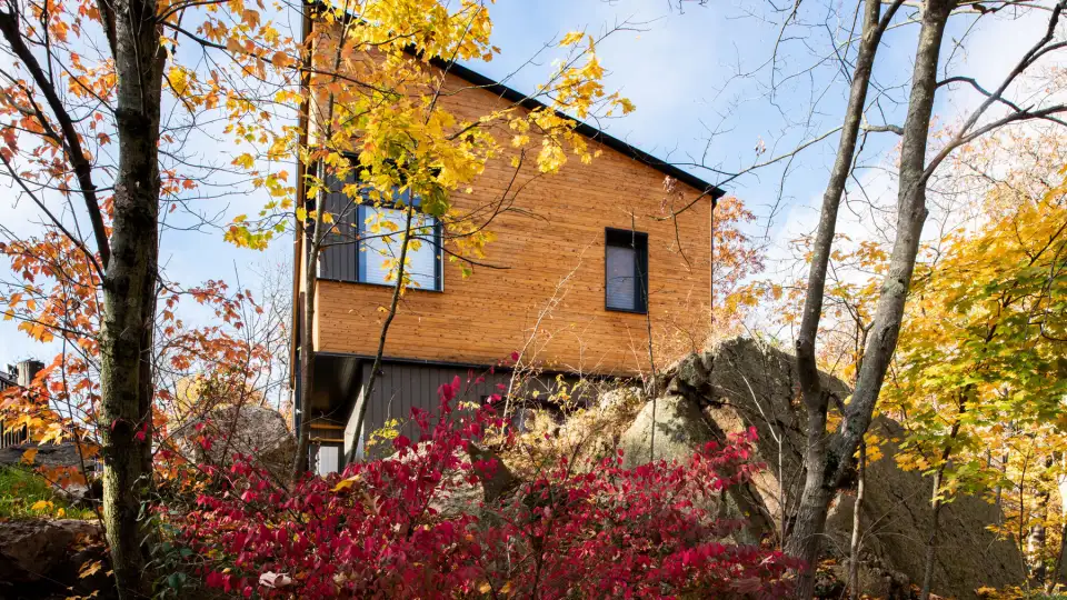 Brucewood RODEArchitects 06 opt