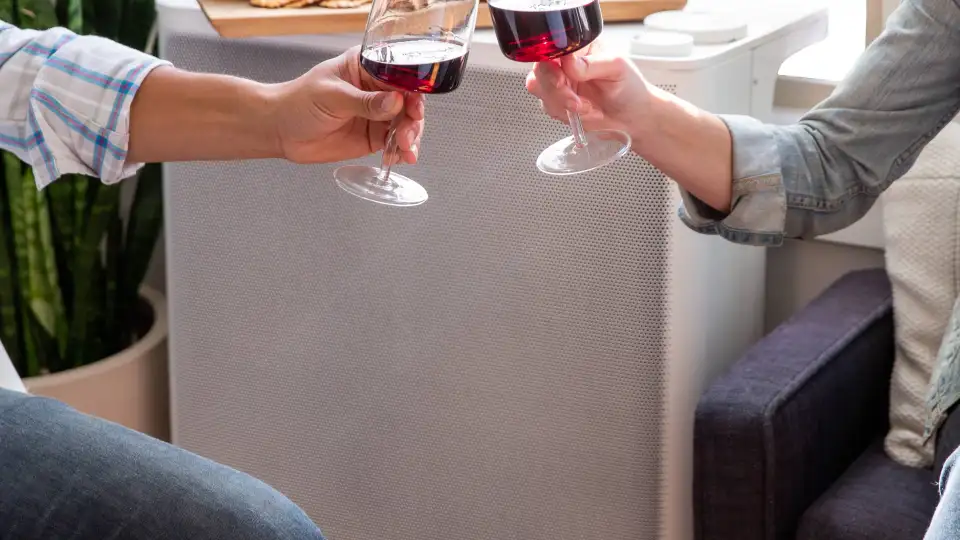 Copy of Copy of Gradient Window AC with Wine Cheers