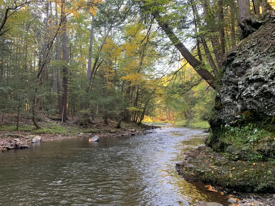 &ldquo;It&rsquo;s mostly sloping down to some frontage on Platekill Creek where there&rsquo;s a great swimming hole that my kids love,&rdquo; Graham says of the property. &ldquo;I used the term &lsquo;forest bathing&rsquo; a lot to describe why I like to spend time there.&rdquo; Photo courtesy of Armand Graham