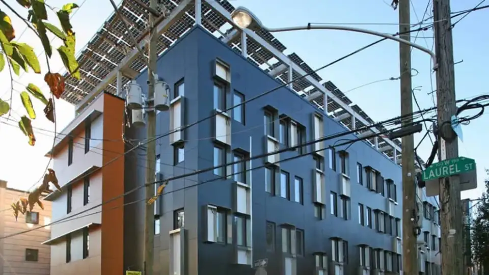 Tim McDonald Onion Flats