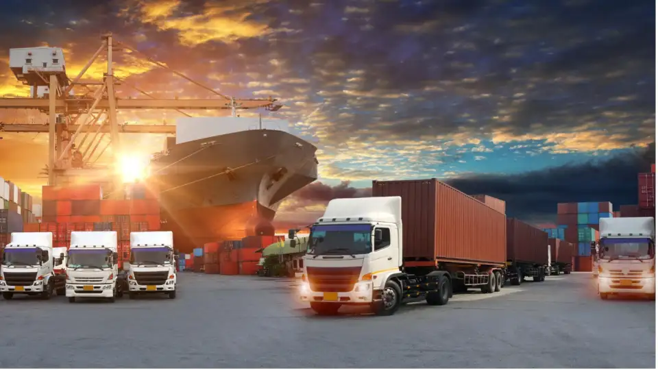 transport 1725021825