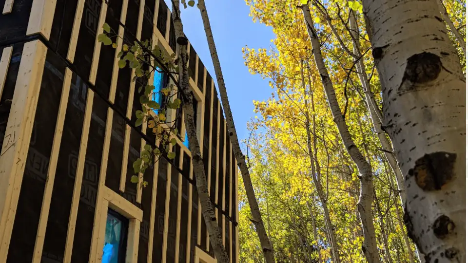 PhoenixHaus construction IG