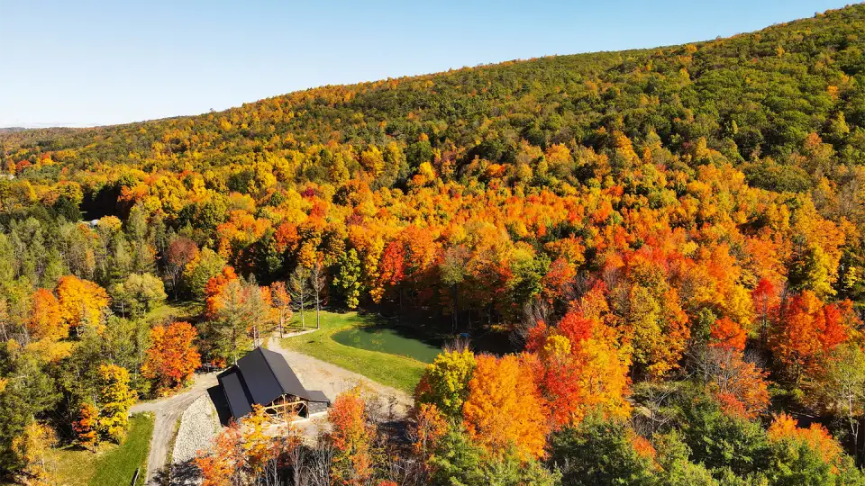 rsz fall drone clean